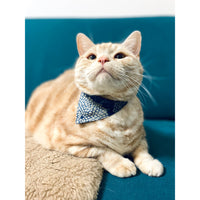 Aoyama Daruma Kofu cat dog pet collar 古布 猫 犬 ペット 首輪