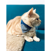 Aoyama Daruma Kofu cat dog pet collar 古布 猫 犬 ペット 首輪